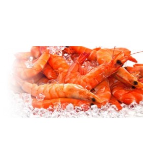 LANGOSTINO COCIDO caja 1kg